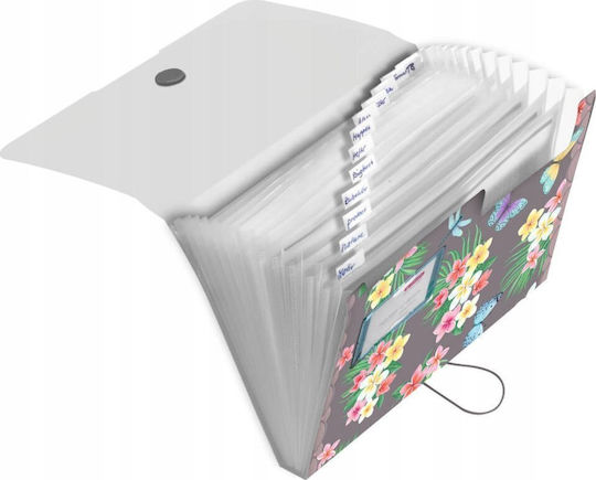 Herlitz Ντοσιέ за Хартия A4 Ladylike 12бр