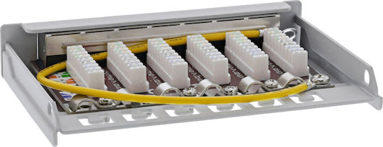 Panou de Conexiuni Inline Cat.6a 0.5u 6-porturi Protecție Împotriva Prafului pentru Masă Perete Șină Gri