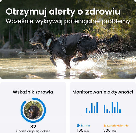 Tractive Dog XL Ηλεκτρικό Κολάρο GPS Σκύλου Adventure Edition