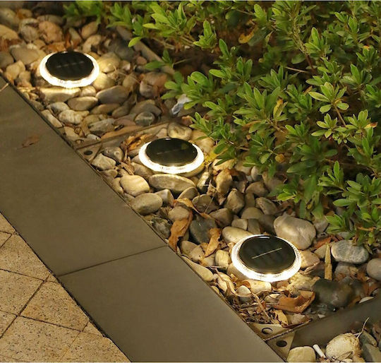 Saska Garden Set of 2 Wall Solar Lights with Photocell IP44