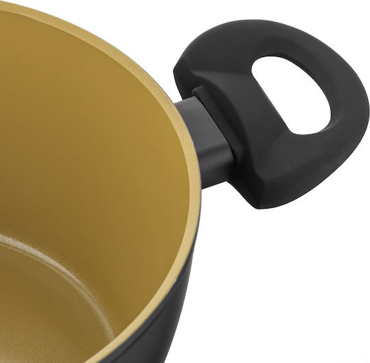 Florina Amvegan Deep Pot made of Aluminum 3.6L / 24cm