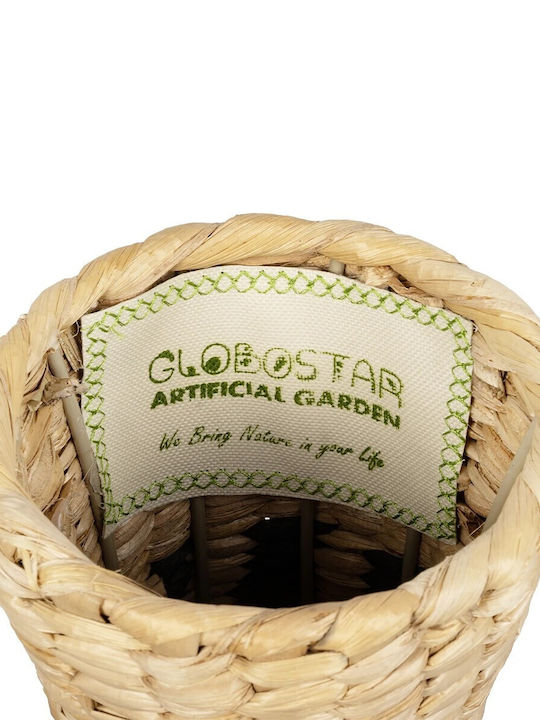 GloboStar Havana Planter Wooden Beige 25x25x57cm.