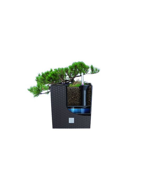 Prosperplast DRTS200L Prosperplast DRTS200L
