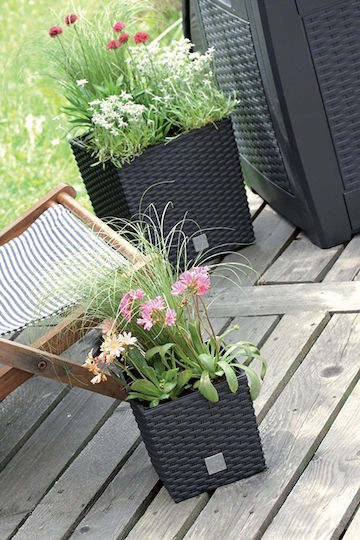 Prosperplast Rato Low Ghiveci Plastic 20x20x20.2cm.