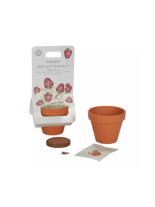Artificial Plant in Small Pot Multicolour 8cm Little Dutch