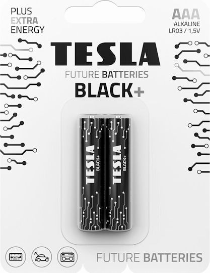 Tesla Batteries Black+ Alkaline Batterien AAA 1.5V 2Stück