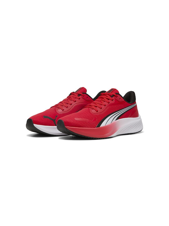 PUMA