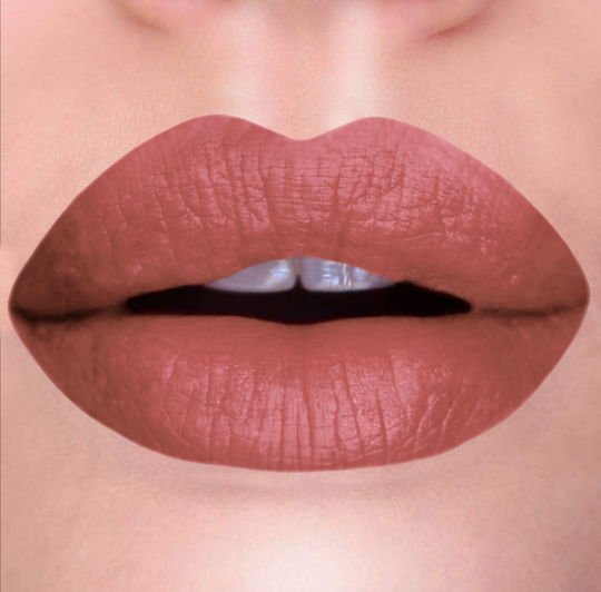 Absolut Beauty Lang anhaltend Flüssig Lippenstift Matt N48 6ml