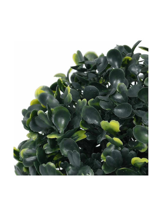 Buxus În Ghiveci Cu Lumini LED 2 Bucăți