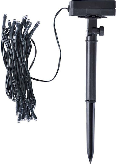 Πυξάρι σε Γλάστρα 52cm με LED 2τμχ vidaXL