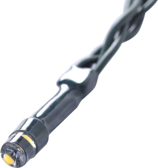 Buxus in Topfpflanze 15cm mit LED 4 Stück vidaXL