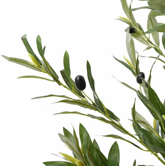 Olive Baum im Freien vidaXL