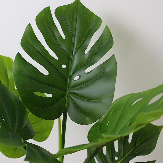 Artificial Monstera H0.75m 6 Pe Leaves Black Pot Ø13cm Artificial Monstera H0.75m 6 Pe Leaves Black Pot Ø13cm