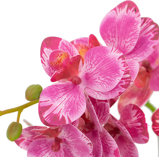 Pink Orchid Potted Plant Artekko