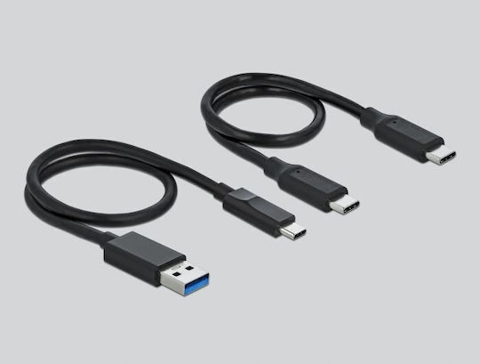 DeLock Docking Station Σκληρών Δίσκων PCIe M.2 (2280)" με σύνδεση USB-C (64000)