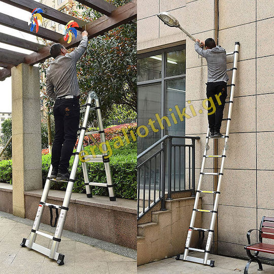 Prostep Telescopic Ladder Aluminum 8 of Steps with Maximum Height 5.1m