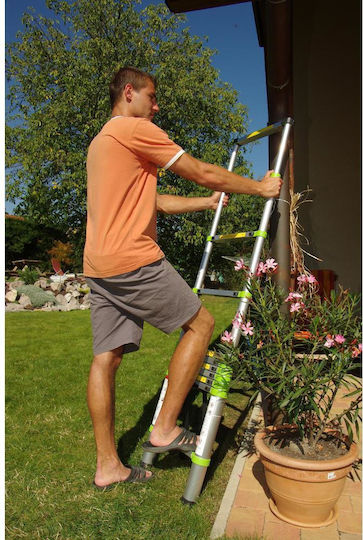 Fieldmann Teleskopische Leiter Aluminium 13 Stufen mit maximaler Höhe 3.8m FZZ 4005 50001671