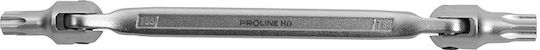 Proline Torx-Schlüssel
