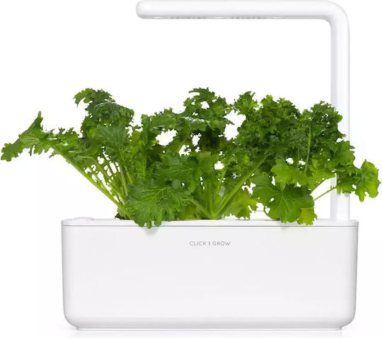 Wasabi Mustard Click & Grow Smart Garden Set 3 Pods