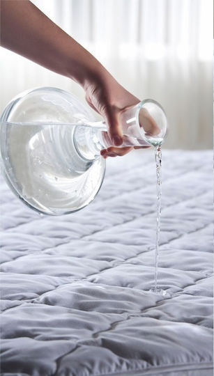 Pucioasa Μαξιλαροθήκη Ξενοδοχείου Microfiber 70x70εκ.