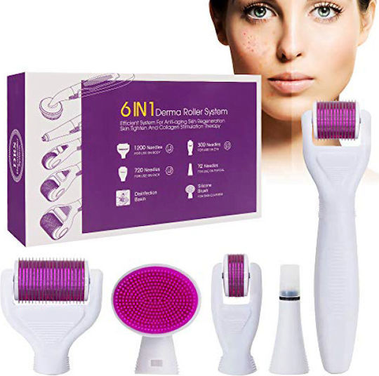 Ekai Technology 6 in 1 Titanium Derma Roller Set 1 Piece