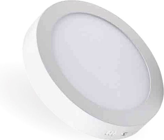 Lucas Rund Draußen LED Panel 24W mit Kaltweiß Licht 6400K