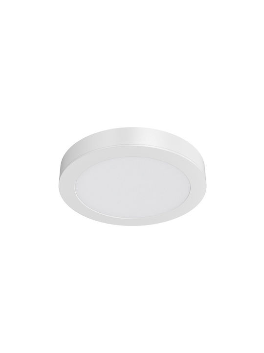 Braytron Round Outdoor LED Panel 12W with Natural White Light 4000K 17.2cm
