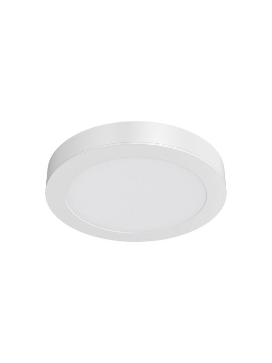 Braytron Кръгла LED Панел 24W с Студено бяло Светлина 6500К