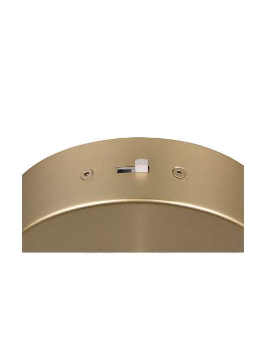 Trio Lighting Висящо Осветително Тяло Златист