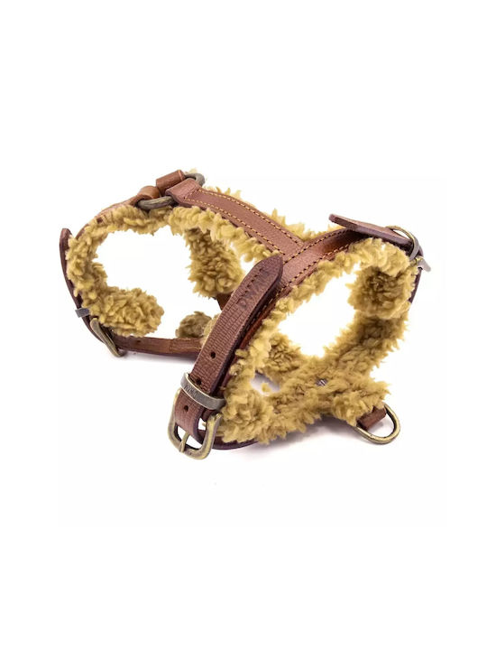 Σαμαράκι Dwam Teddy Dog Harness Small