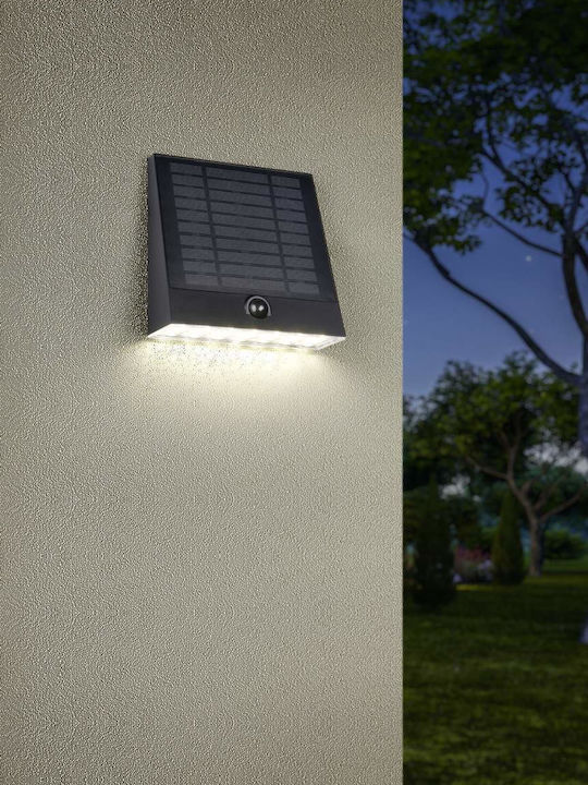 Trio Lighting Επιτοίχιο Εξωτερικό Φωτιστικό Μαύρο