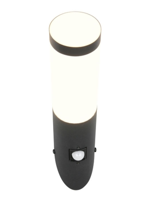 Trio Lighting Επιτοίχιο Εξωτερικό Φωτιστικό