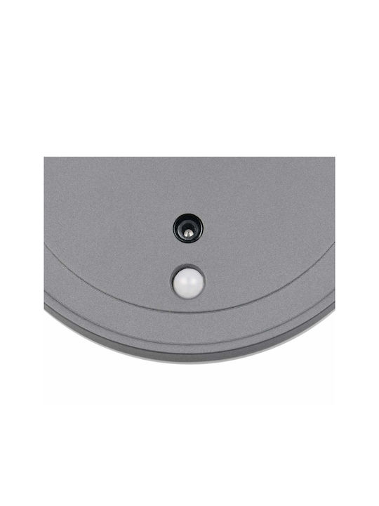 Trio Lighting Lumină de exterior montată pe perete