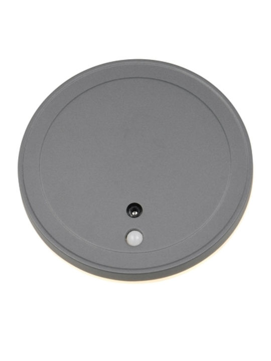 Trio Lighting Lumină de exterior montată pe perete
