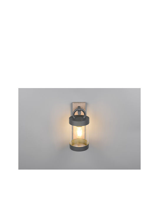 Trio Lighting Sambesi Lumină de exterior montată pe perete