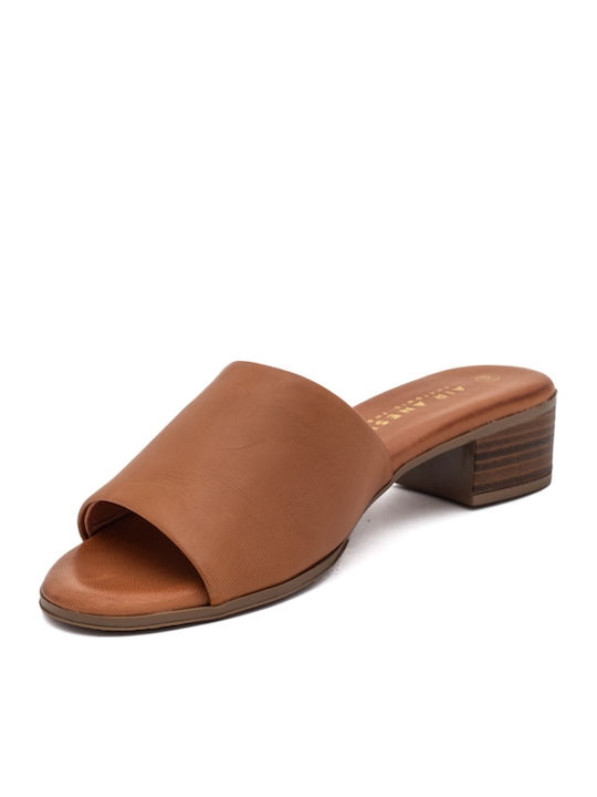 Leather Mules with Chunky Heel in Brown Color