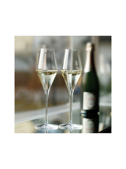 Stolzle Lausitz Set de pahare de sampanie / Vin alb din Sticlă Cu picior 290ml 6buc