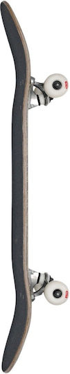 Globe Goodstock Complete Shortboard Πολύχρωμο