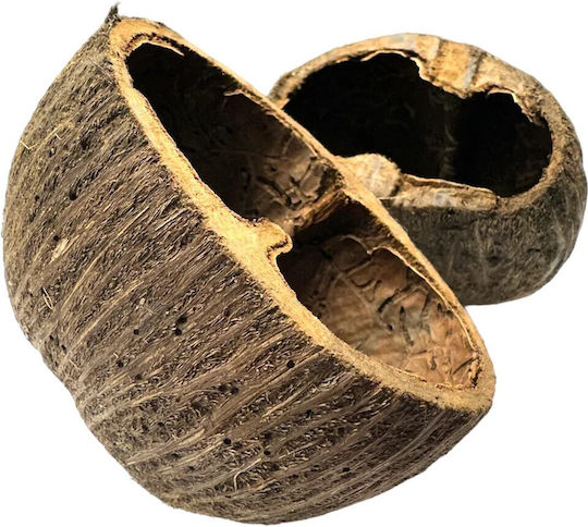 Ceramic Nature Palm Pods