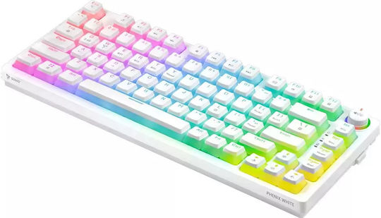 Savio Phenix Yellow Pudding Wireless Gaming Mechanical Keyboard 75% with Gateron Yellow Pro switches and RGB lighting (English US) White