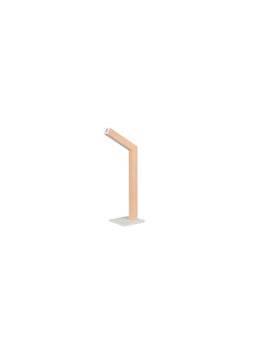 Trio Lighting Διακοσμητικό Φωτιστικό LED Θερμό Λευκό 3000K
