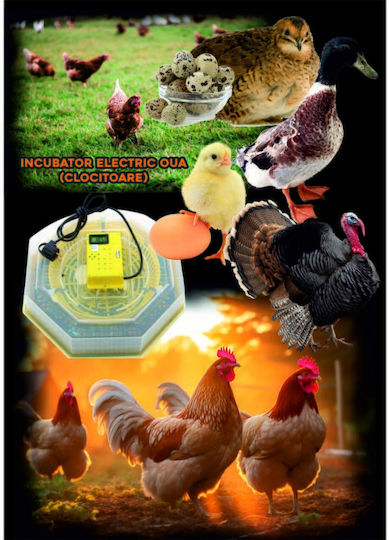 Ertone Cleo 5 Incubator Manual Pentru 60 Ouă