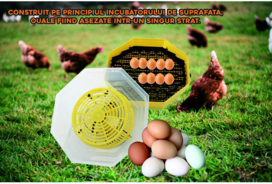 Ertone Incubator Automat Pentru 41 Ouă