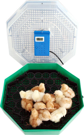 Semi-Automatic Egg Incubator 41 Eggs