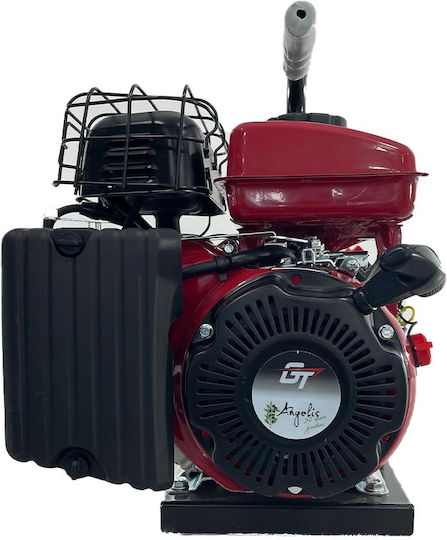 Agelis Olive Harvester Generator with with Stabilizer 13.8V Engine and 70A Dynamo