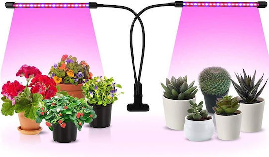 Desk Grow Light with LED