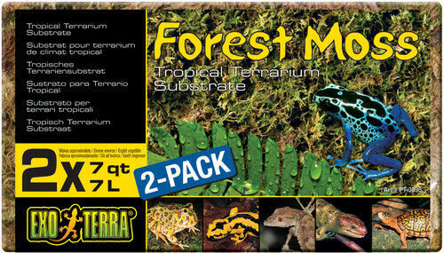 Exo Terra Forest Substrate for Reptiles Terrarium 500gr
