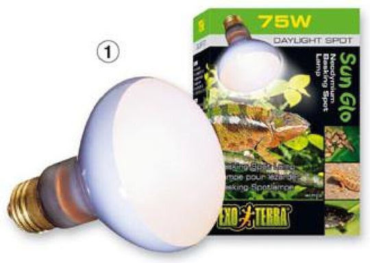 Exo Terra Basking Spot Accessory for Reptiles Terrarium