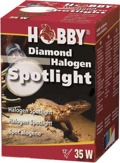 Hobby Accessory for Reptiles Terrarium