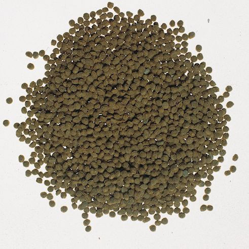 Tetra Color Fischfutter für Fische mit Spirulina 100ml